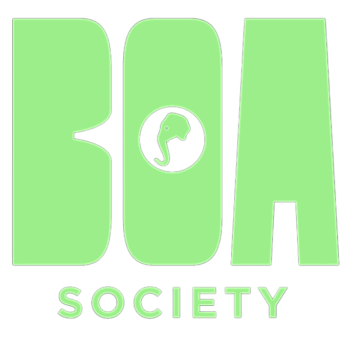 Boa Society